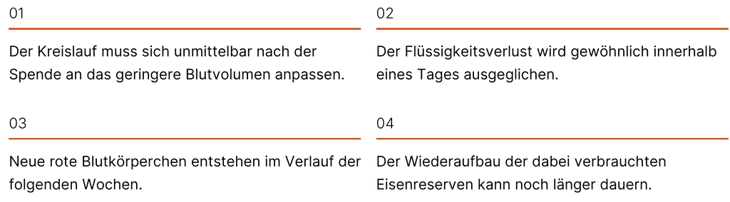 Infografik zur Erholung nach einer Blutspende: Kreislauf passt sich sofort an, Flüssigkeit wird binnen eines Tages ersetzt, rote Blutkörperchen in Wochen und Eisenreserven später aufgebaut.